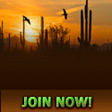 Last Chance Mailer